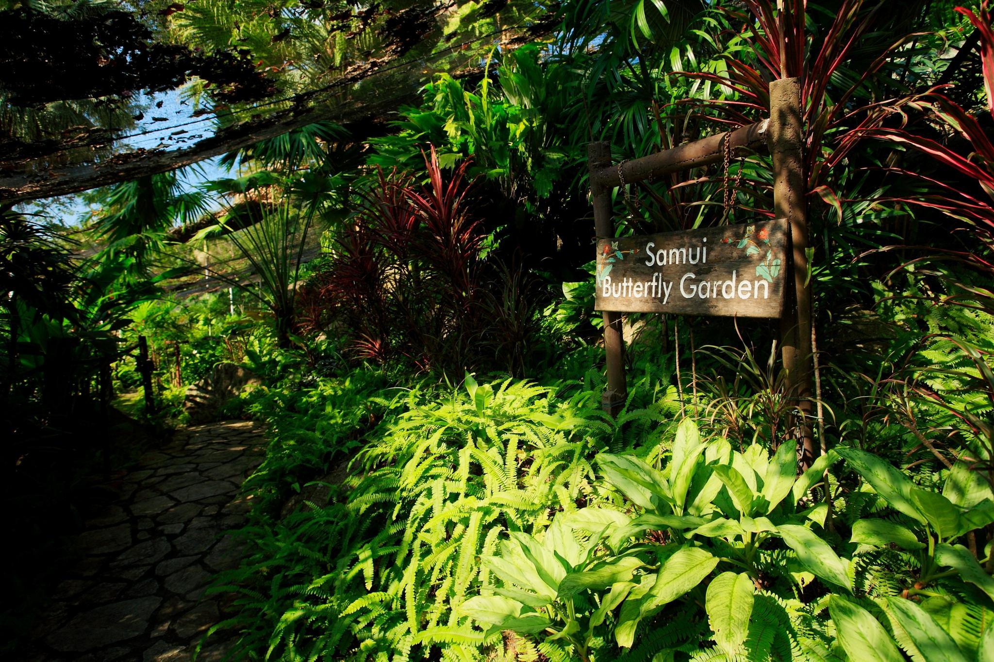 Centara Villas Samui - Sha Plus Lamai Beach  Eksteriør bilde